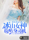 冰山女神的贴身司机