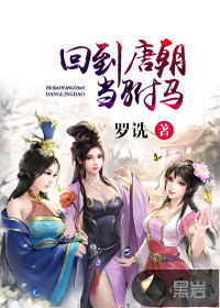回到唐朝當(dāng)駙馬