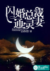 閃婚總裁通靈妻