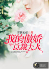 我的傲嬌總裁夫人