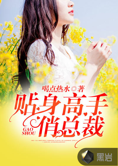 贴身高手俏总裁