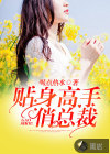 貼身高手俏總裁