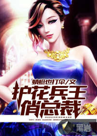 護花兵王俏總裁