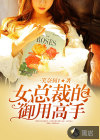 女總裁的御用高手