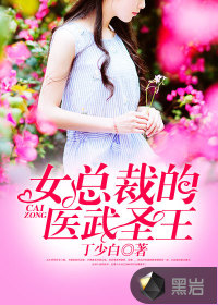 女总裁的医武圣王