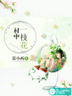 村中一枝花