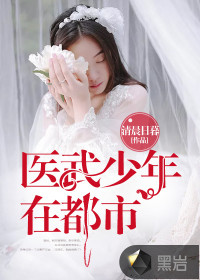 醫(yī)武少年在都市